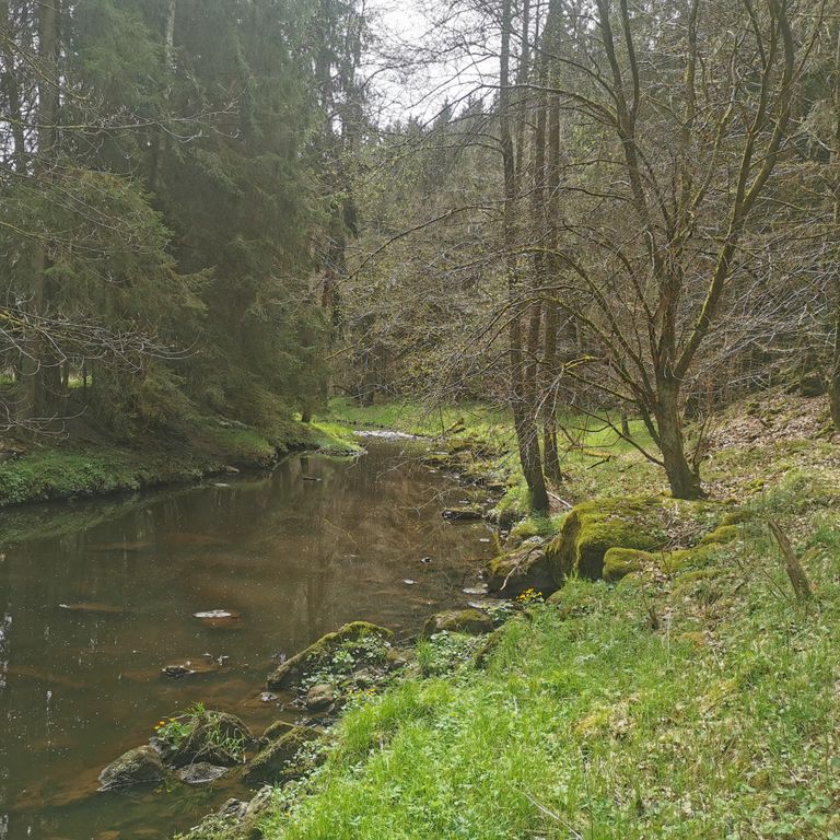 Waldnaabtal - Oberpfälzer Wald